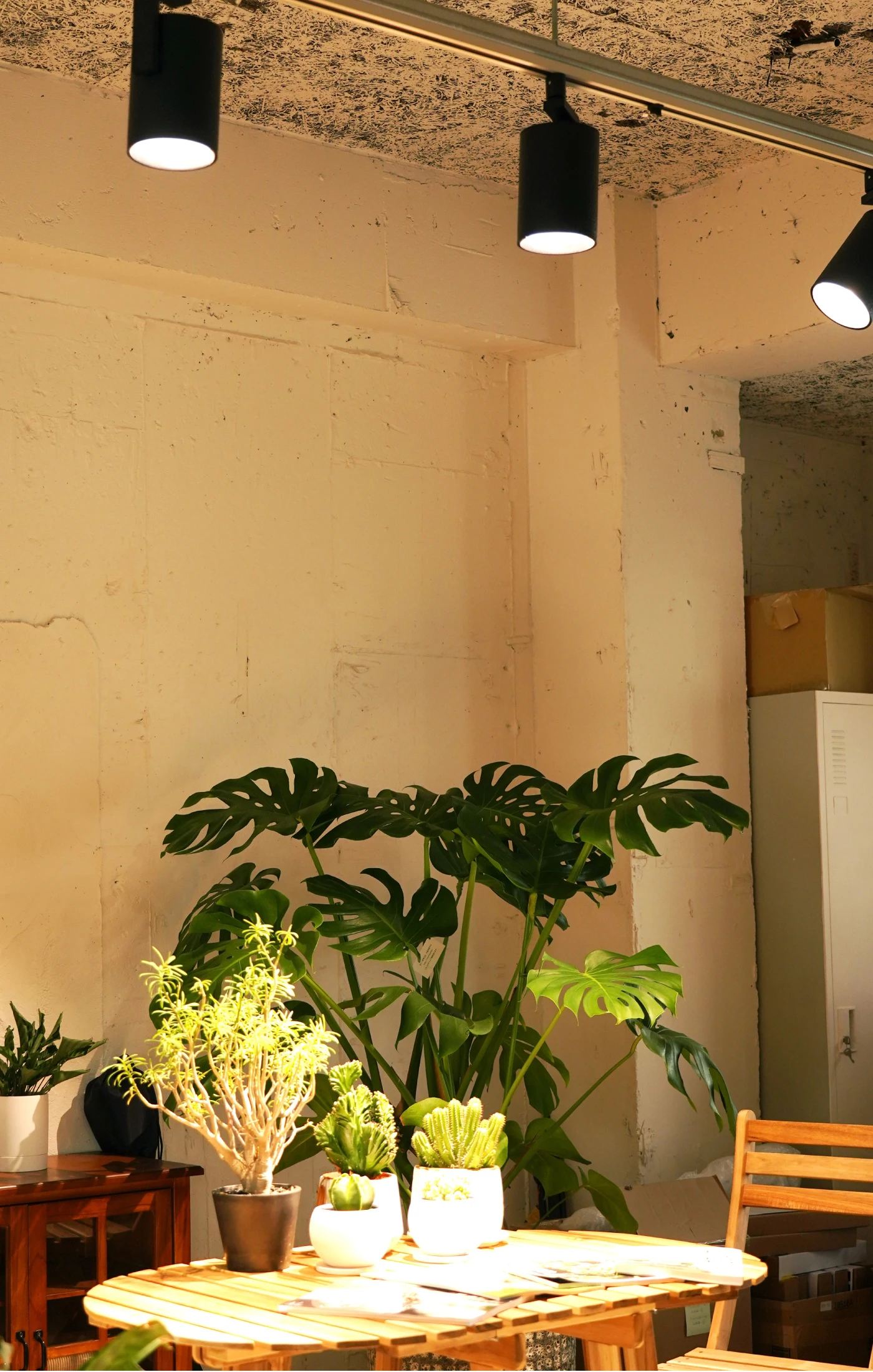 Good Prices Excellent Works Hades Optimal Design 45W Spotlight Led One Color Light