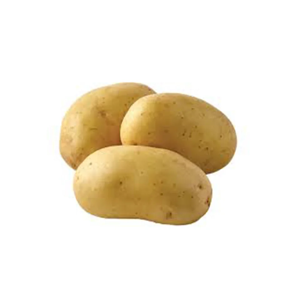 Buy Online Mozika Potato From Pakistan / Import Premium Quality Fresh Potatoes