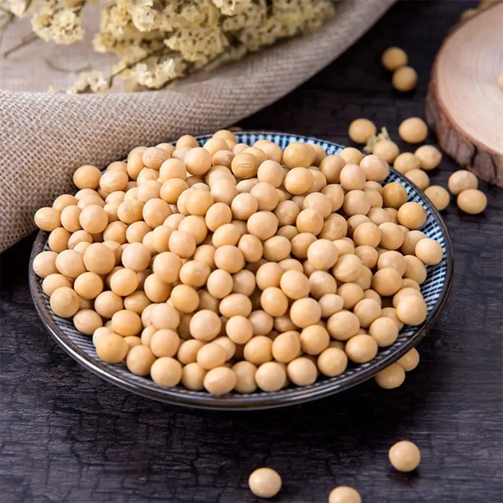 Good Quality Soyabean / Soybeans Seeds / Soybean Ready For Export