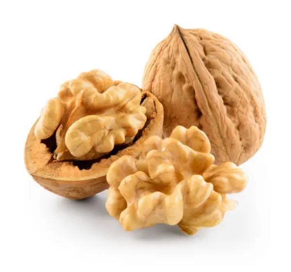 Walnuts Premium Quality Wholesale for Bulk Orders
