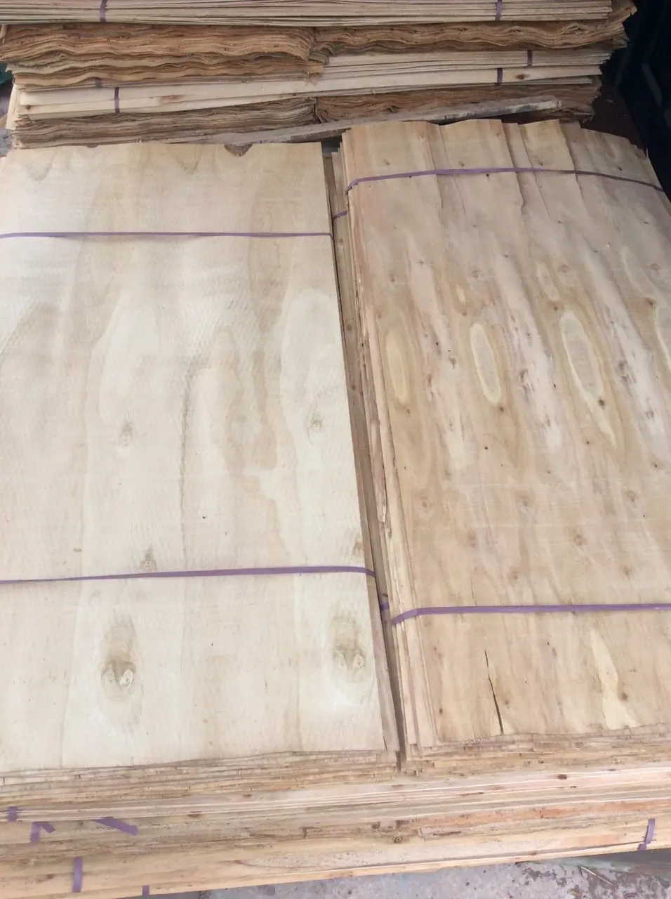 Wholesaler Acacia Eucalyptus Pine Core Veneer Material for Plywood Vietnam Manufacturer