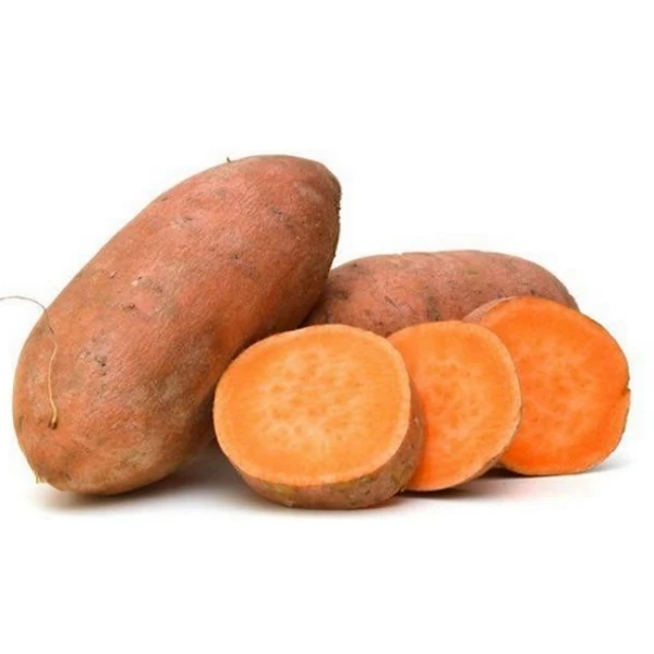 Free Tax - Wholesale for sweet potato starch / sweet potato flour Cheap Price Global Gap sweet fresh potatoes