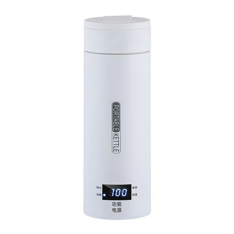 Portable Electric Kettle Temperature Display Electric Bottle