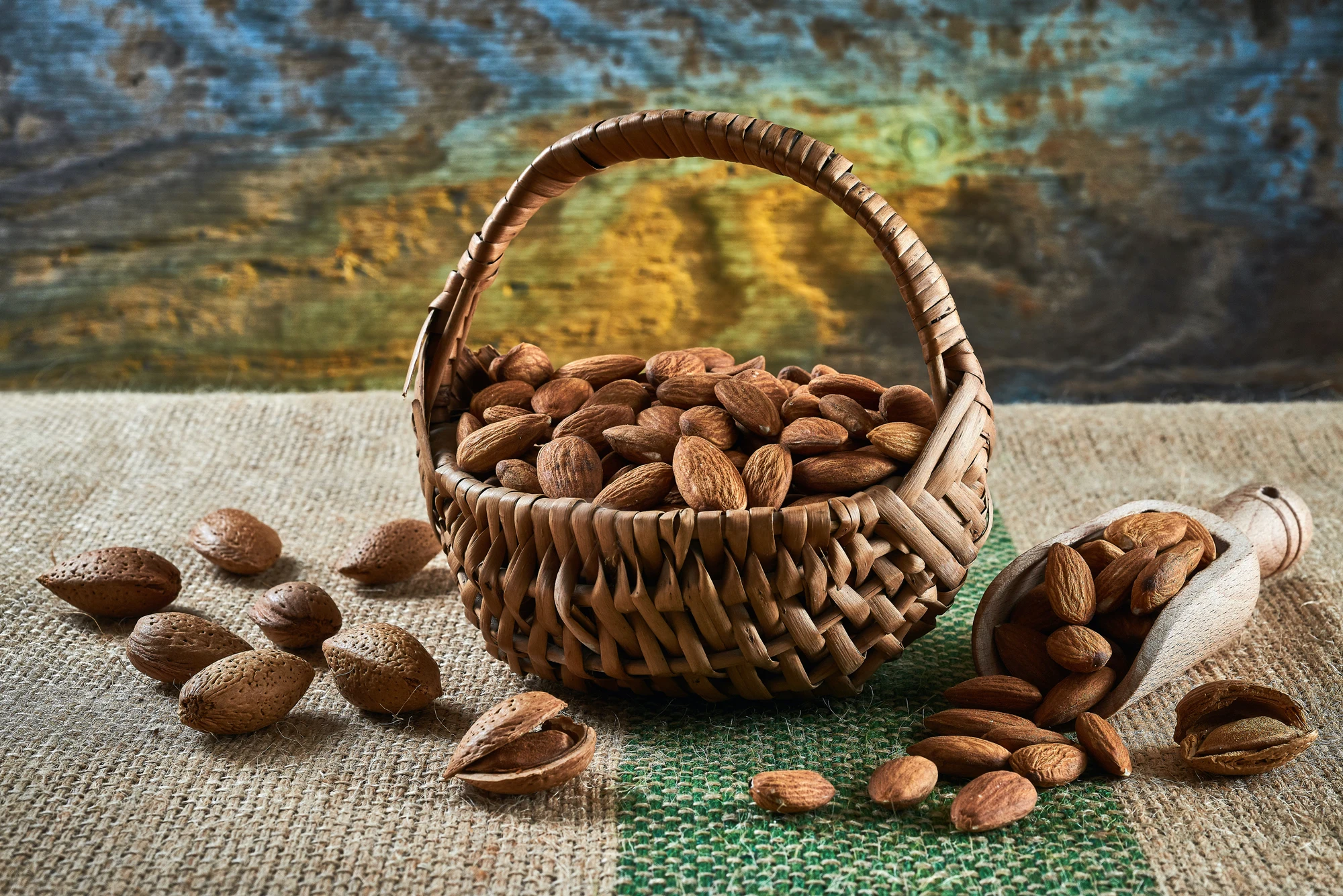 High Quality Blanched Dry Almonds 5kg Wholesale Vacuum Packed Hazelnuts for Food Use