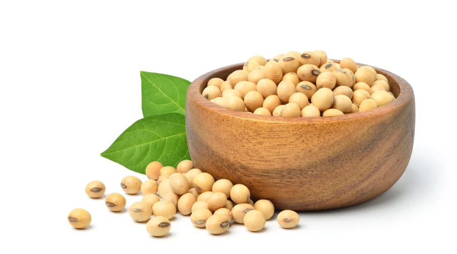 Распродажа по оптовой цене новый урожай GMO и Non соевые