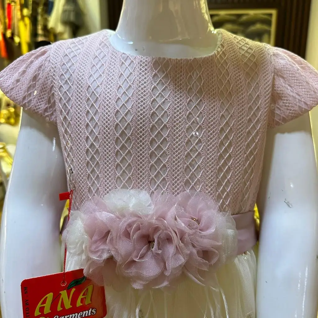 2024 New collection of girls embroidery fancy dress suit with hairband