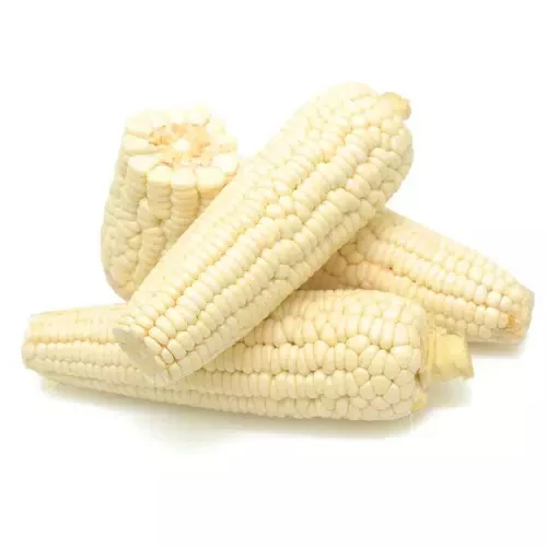 Самые продаваемые цены, высокое качество, супер свежесть и высокая сладость, Органическая кукуруза, поставка в производстве Bulks