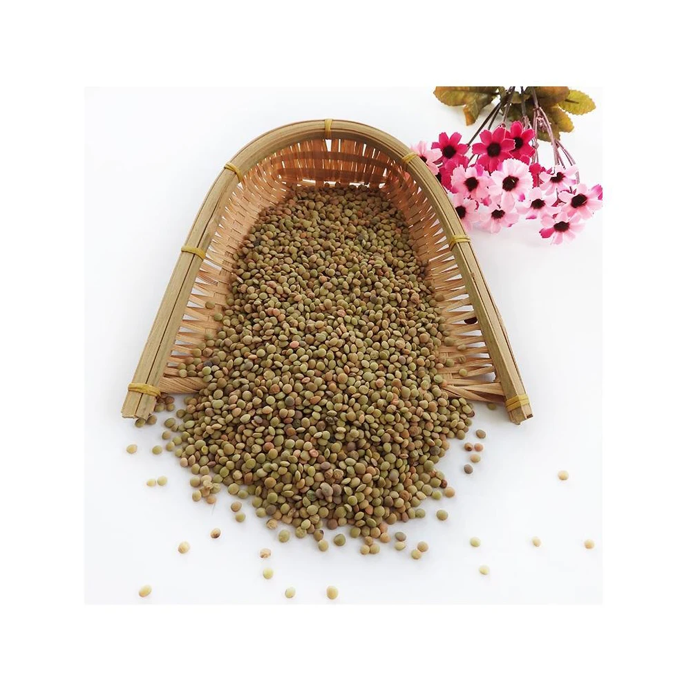 High quality new crop green lentils natural pure green lentils with competitive price non gmo product
