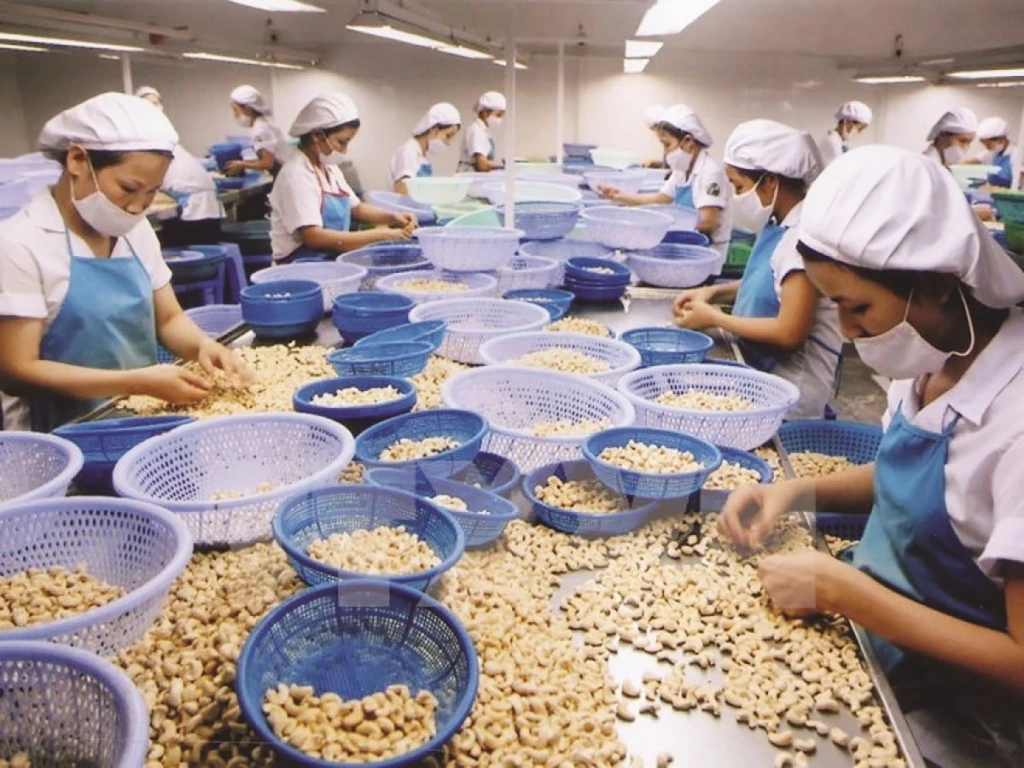 AN CHAU VN-кешью 500 г в упаковке обработанная кешью-орех продажа сушеных орехов укороченном стиле качественное сырье