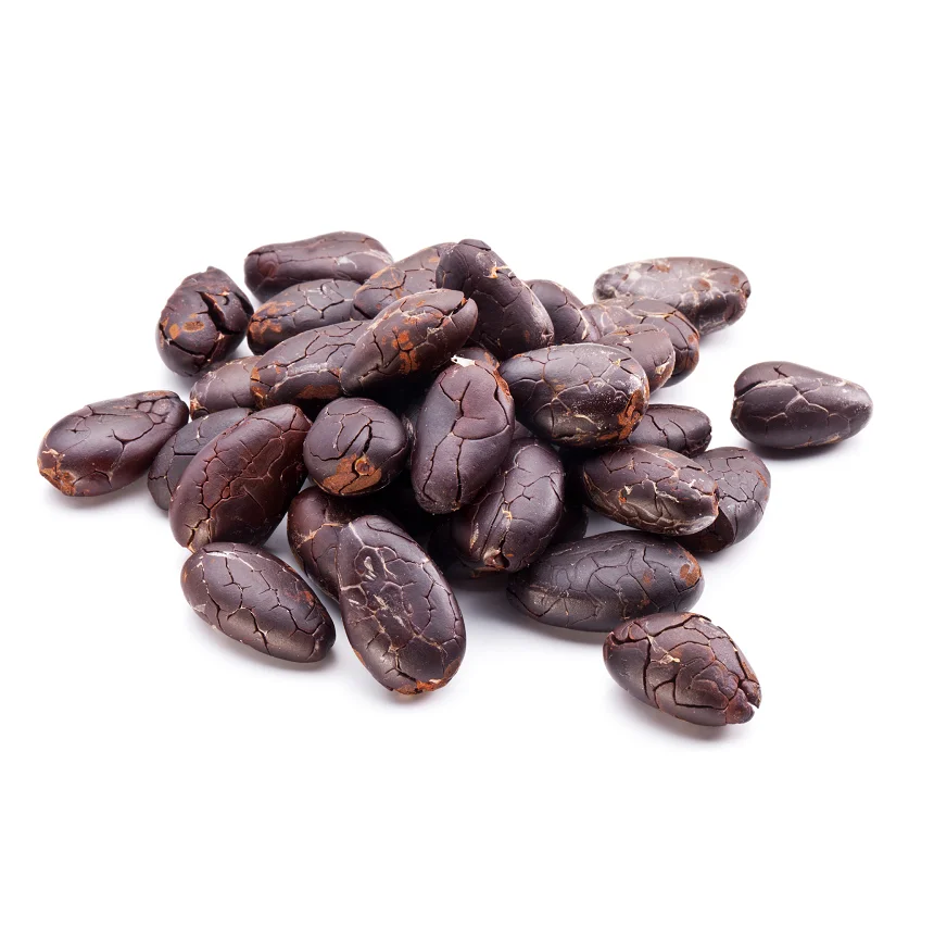 Cocoa Beans Ariba Cacao beans Dried Raw Cacao Fermented Cocoa Beans