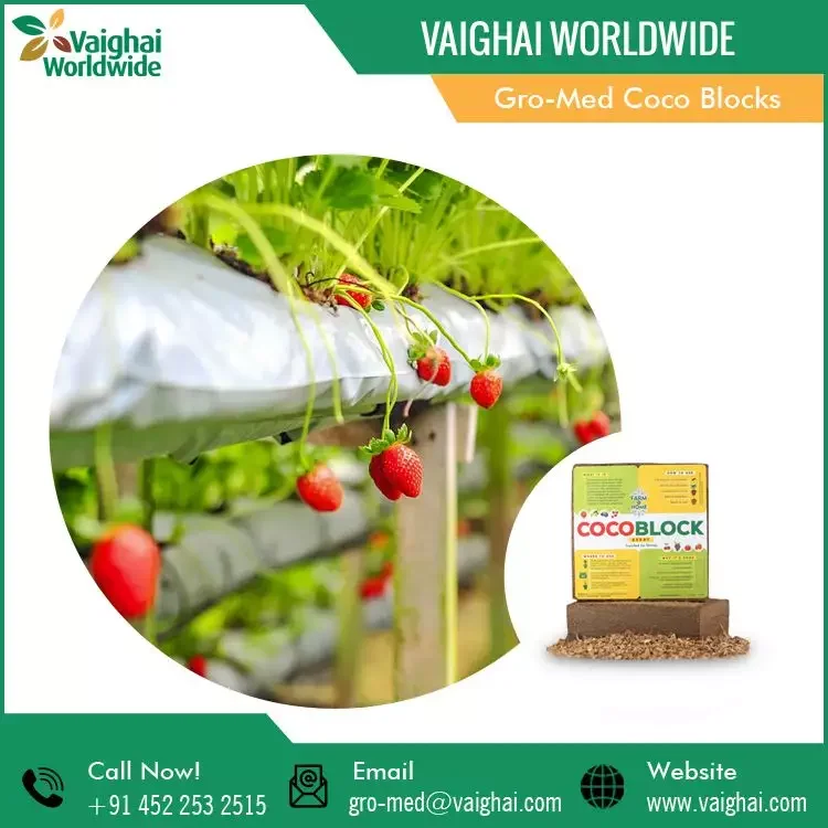 Торфяная шелуха Gro Med Coco блок натуральные садовые горшки и кастрюли Выращивание растений земли игральные кости по хорошей цене