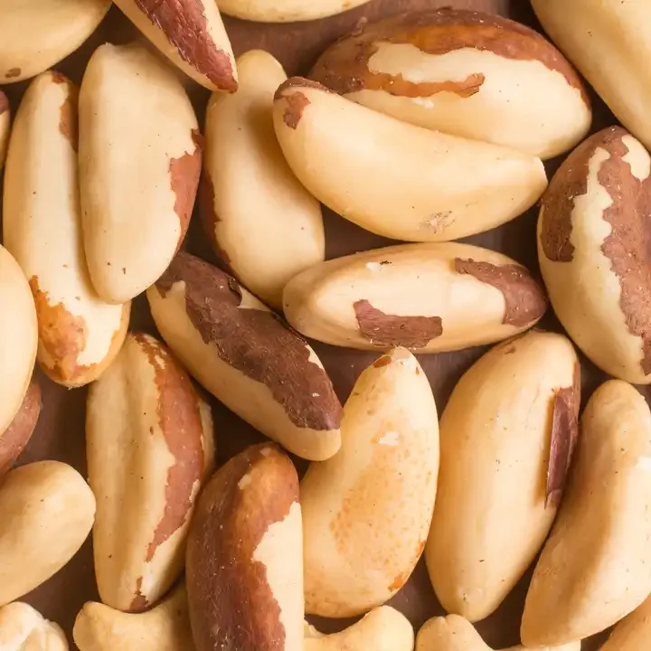 brazil nuts4 - Copy.png
