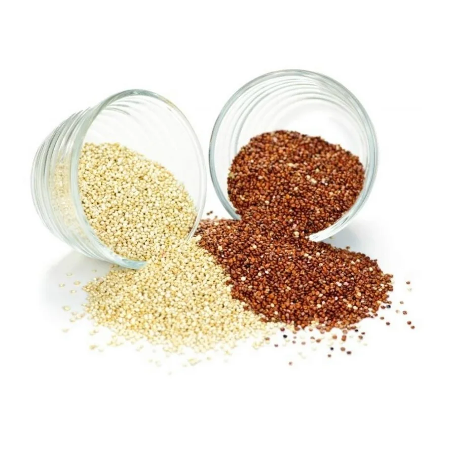 Wholesale Price Organic Seeds White Quinoa Grains Health care Grains Bulk Stock Available For Sale