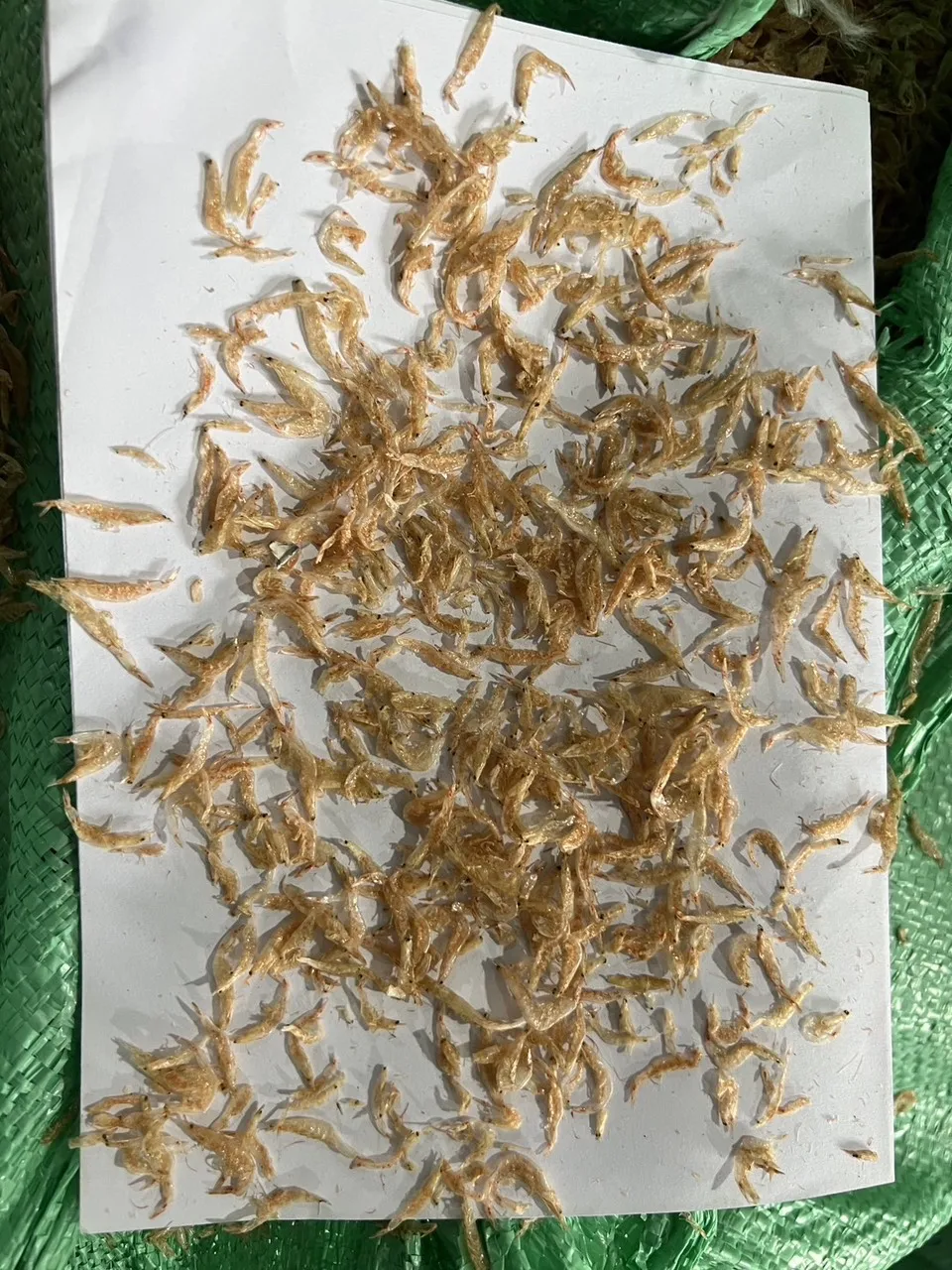 Vietnam Export Products Baby Shrimp Wholesale Package Sun Dry Type Competitive Price Customize or PE Bag Dried Baby Shrimp