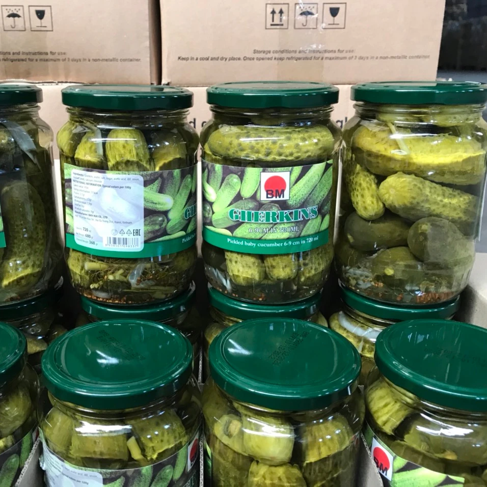 720ml PICKLED MIDDLE CUCUMBER GHERKINS IN BRINE GLASS JAR GREEN LIDS OEM PACKING WITH COMPETITIVE PRICE FROM VIETNAM FACTORY