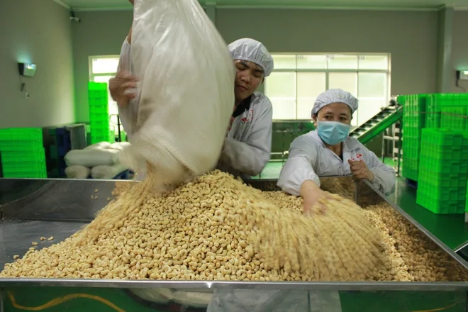 AN CHAU VN-кешью 500 г в упаковке обработанная кешью-орех продажа сушеных орехов укороченном стиле качественное сырье