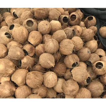 3-4cm Coconut Shell Origin  2021 cheap price / Broken Coconut Shell / unpolished Raw Coconut Shell