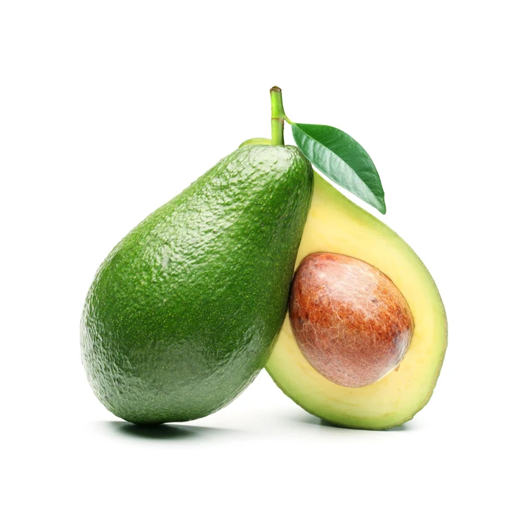 Fresh Avocado / Hass Avocado, Fuerte Avocado For Sale