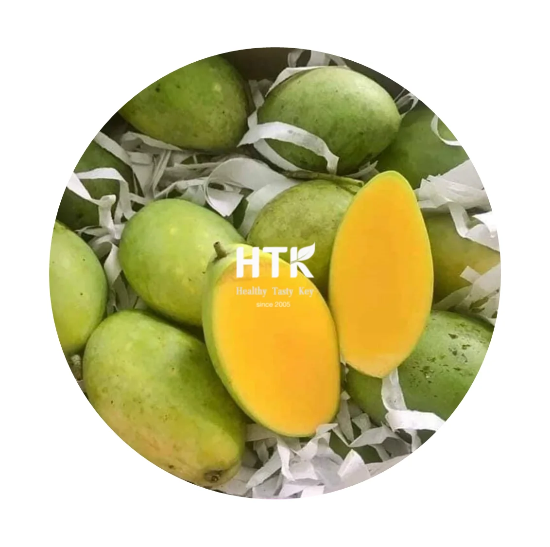 NEW 2022 FROZEN IQF MANGO Halves Chunk Diced Sliced Cube Made In Vietnam from HTK FOOD for Food & Beverage