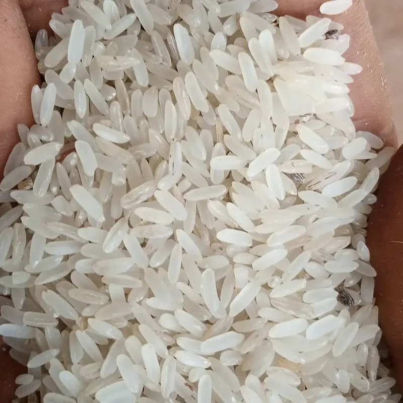 Long-Grain Rice (5% - 25% - 100%) Broken Wholesale Best Quality/ 5 % Broken Ratio Fast Food Polished And Brown Rice