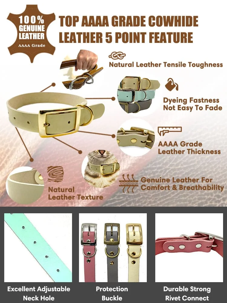 Dog Collar T16-1 N3L05