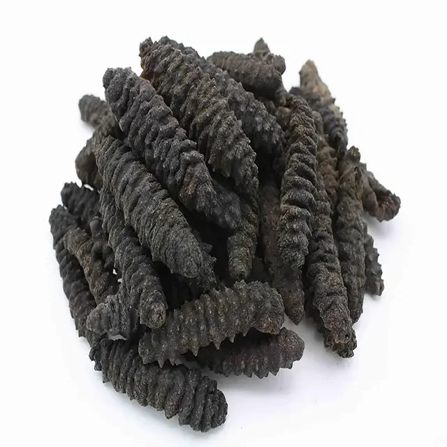 Factory buyer price dry sea cucumber dried sea cucumber for sale
