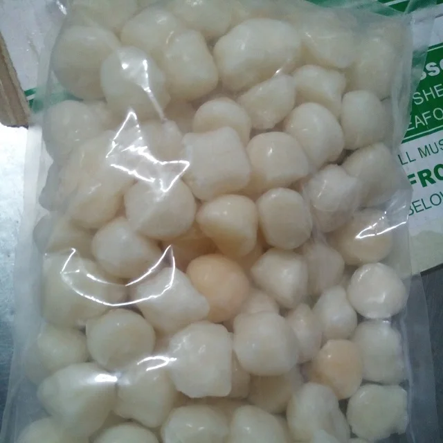 Wholesale Delicious Seafood Frozen Sea Scallop With Half Shell