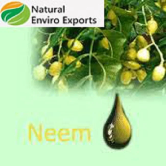 Certified Organic Cold Pressed Neem Oil ready to use Extracted by the wildly collected Natural Neem Seed at Lowest cost