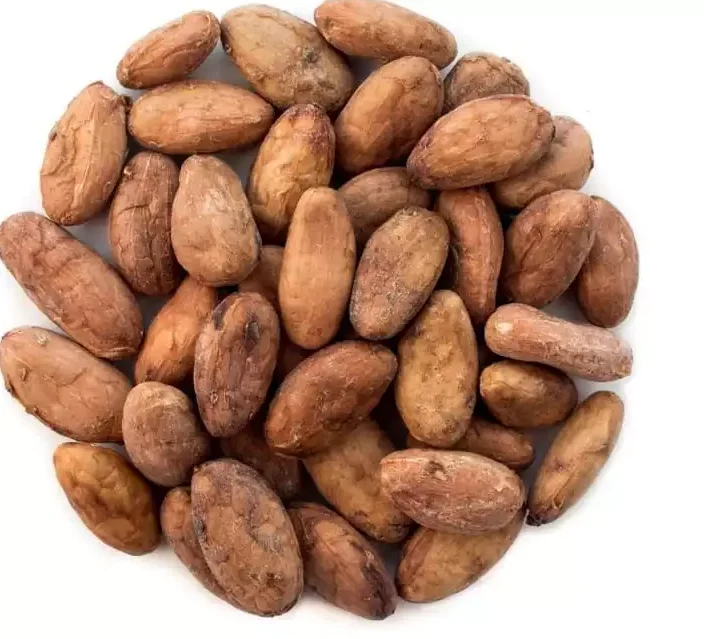 High quality pure Cocoa beans extract powder Cocoa Beans Ariba Cacao Beans