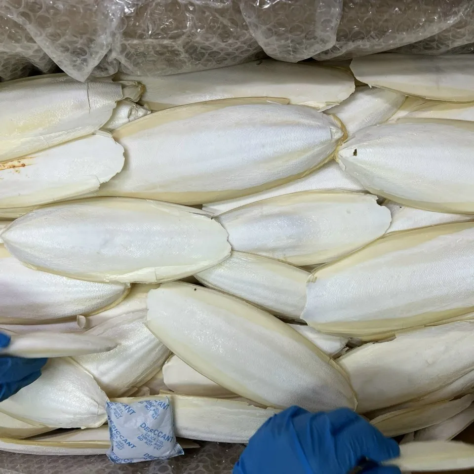 BEST SUPPLY 2024 I Dry Cuttlefish Bone Cuttlebone 100% Natural Cuttlefish Bone I Made in Vietnam