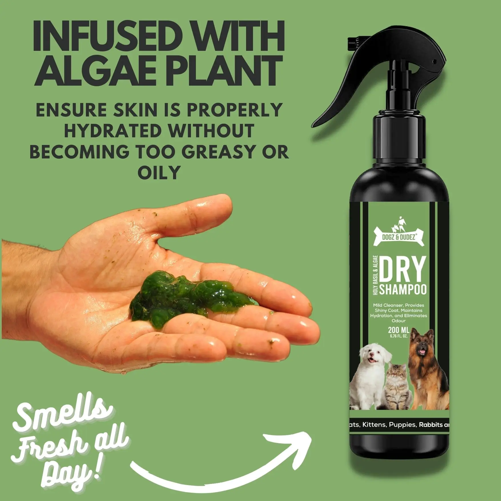 Ready To Ship Premium Quality 2 in 1 Algae Infused Dry Shampoo and Conditioner for Dogs Deep Cleansing at Best Prices