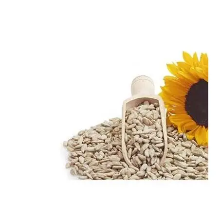 Bulk  Organic Sunflower Seeds Sales