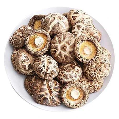 100% origin dried oyster mushroom wholesale price king oyster mushroom Organic dried mushrooms morels /oyster