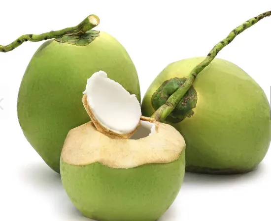 Fresh Young Coconuts 100% natural Organic High Quality Grade fresh young coconut From Vietnam 2023