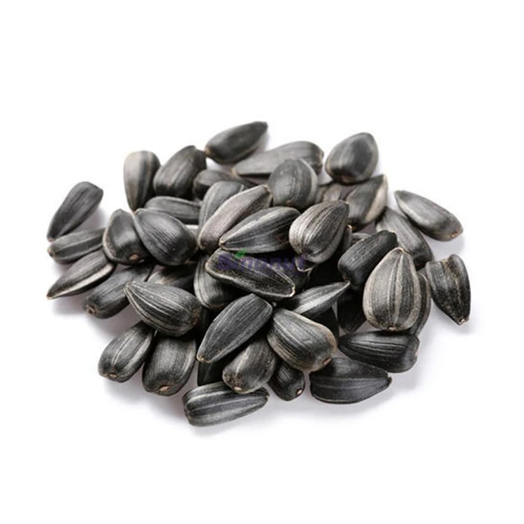 Top quality sunflower seeds 361 sunflower seeds kernels