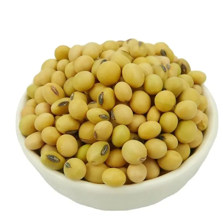 Wholesale Organic Non-Gmo Soyabean Yellow Soybean Soja Soya Beans