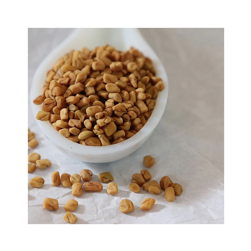 Great For Appetite Control Best Quality Fenugreek Seeds Buy Other Whole Spices At Factory Price