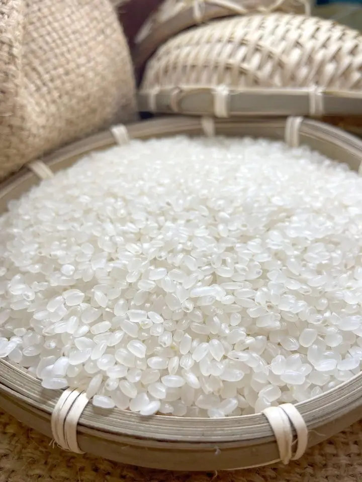 Wholesales Viet Nam Japonica rice Sushi rice At Factory US EU export standard quality  / Ashley +84-857622959 ( WhatsApp/Viber)