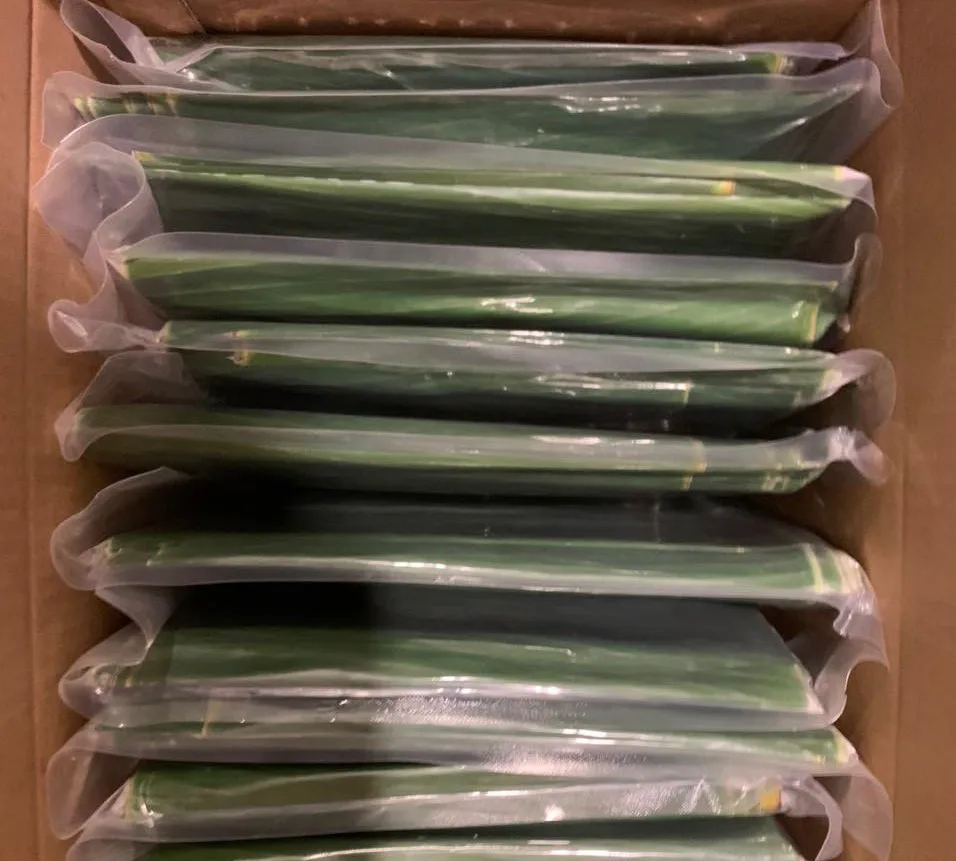 Fresh Banana Leaf For Food Stuff Replace To Plastic Bag Eco Friendly Wrapping Food Biodegradable Supplier New Crop Bulk Vietnam