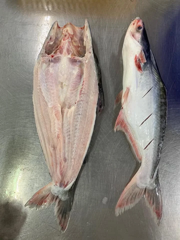 Замороженные филе рыбы IQF Pangasius Basa Tra Swai во Вьетнаме упаковка 10 кг HACCP - TANIS IMEX CO. LTD