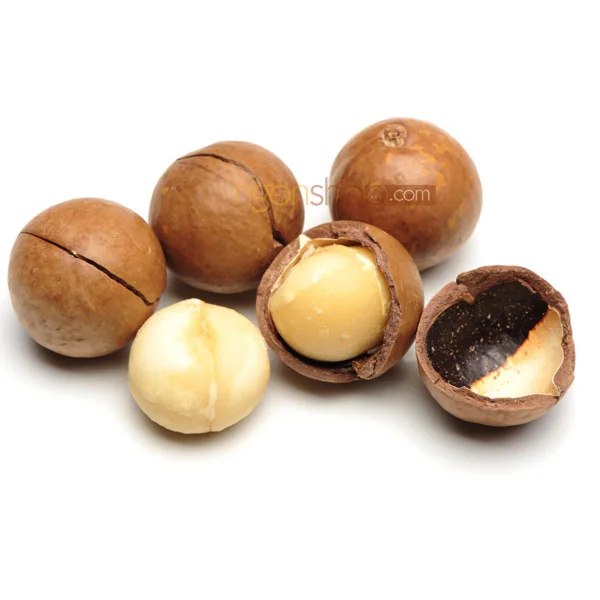MACADAMIA - The Nut Is Famous For Its Distinctive Greasy Taste (Jennie Vdelta)