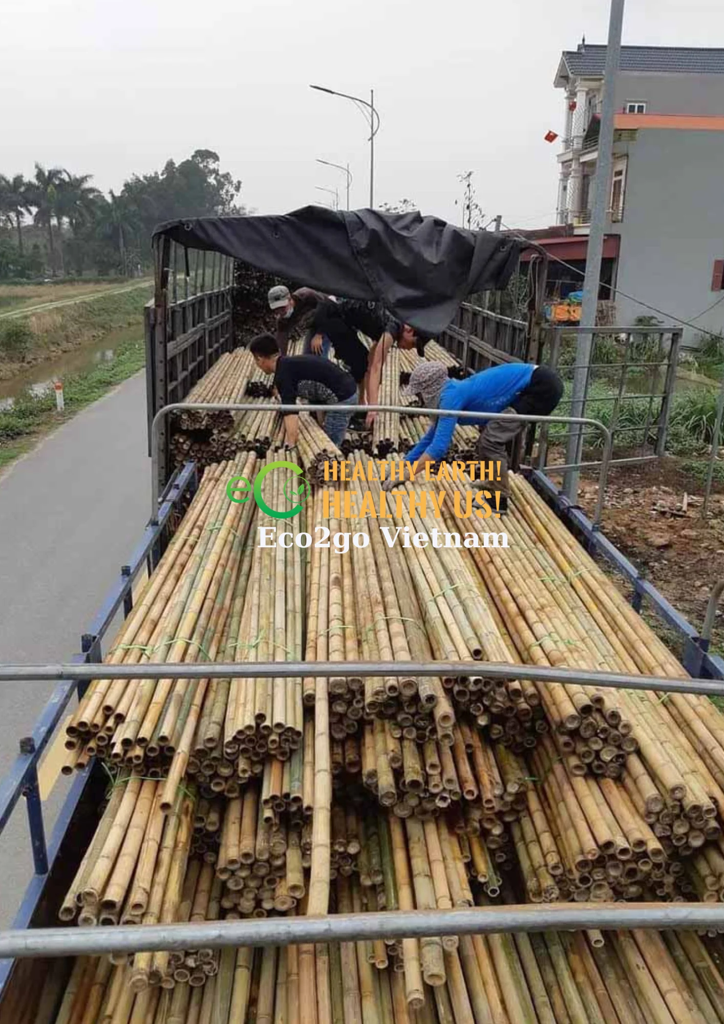 VIETNAMESE BAMBOO STICKS FOR PLANTS/BAMBOO STICKS FOR DECORATION/ BAMBOO STICKS FOR GARDENING FROM ECO2GO VIET NAM