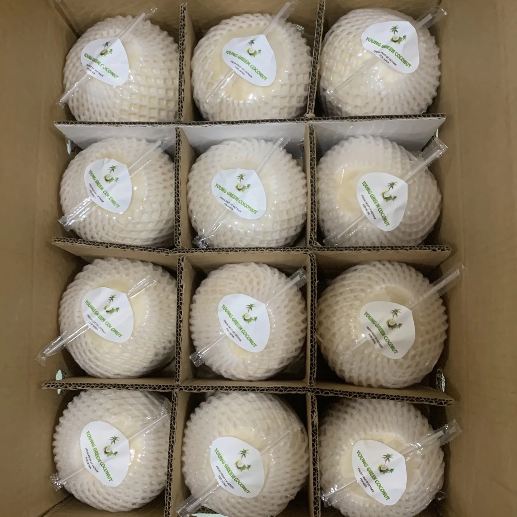 Wholesale High Quality Cheap Price FRESH YOUNG COCONUT From Viet Nam