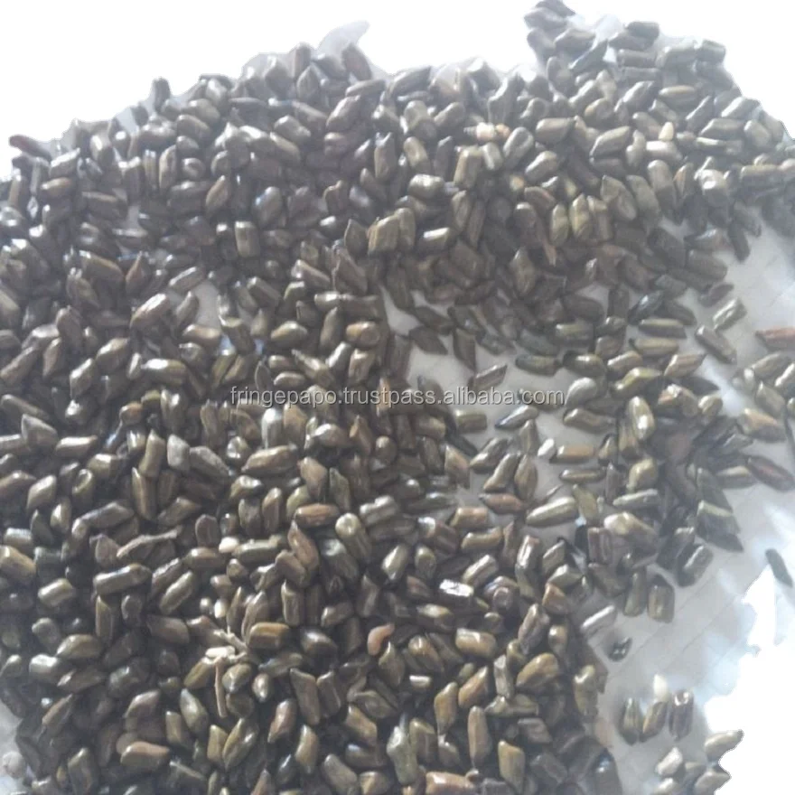 Best Quality Pure Natural Cassia Tora Seeds Herbs medical sortex clean organic product in customer packing
