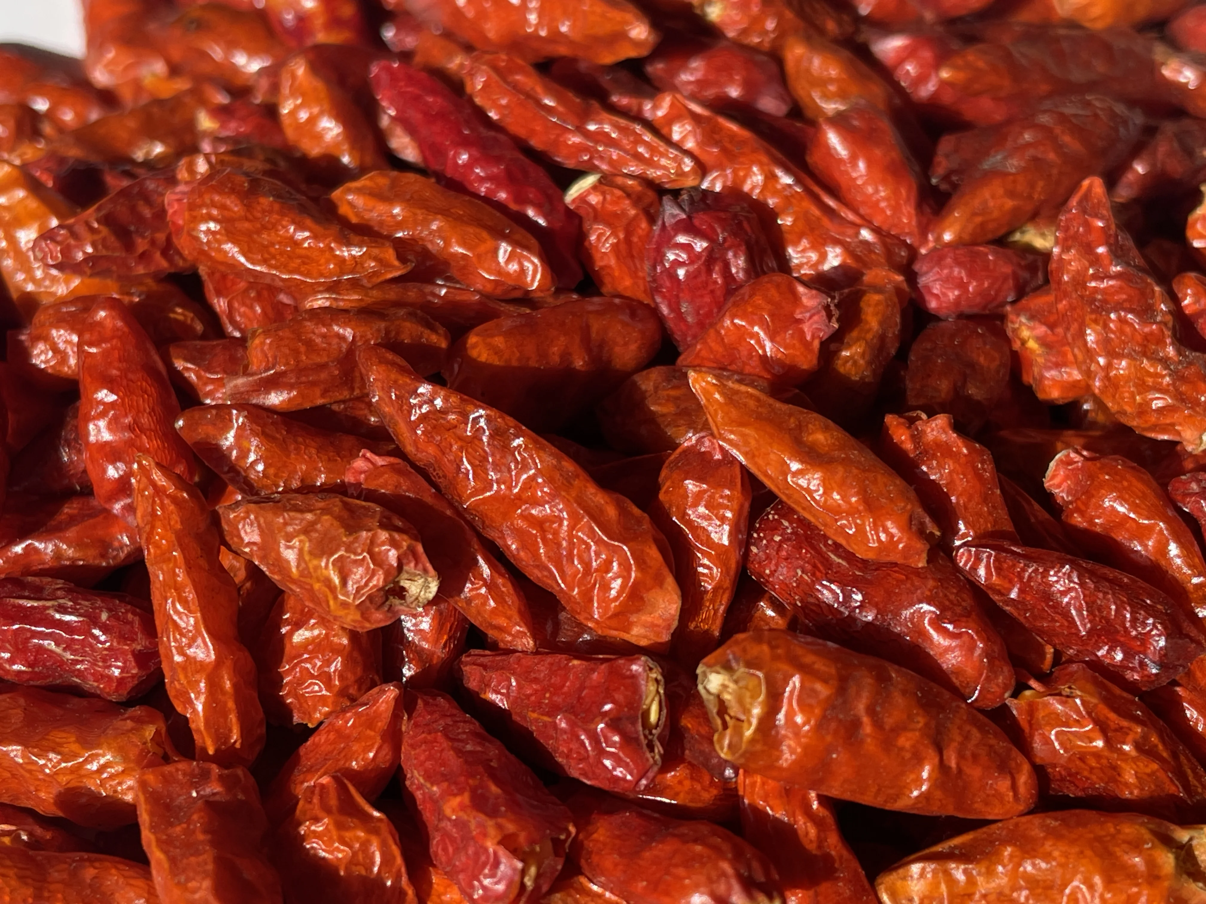 Hot Red Dried Chili Peppers Freshly Dried for Traditional Asian Cooking Box and Bag Packaging for Soups and Curry