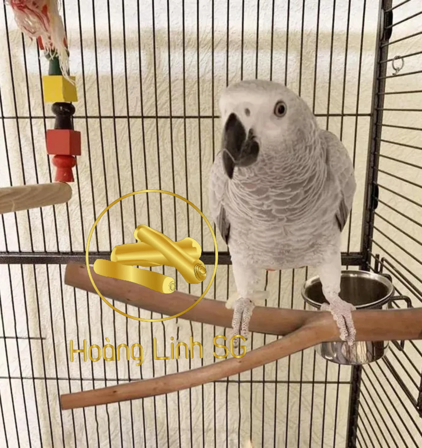 Coffee Wood Bird Perch Wood Bird Perch Nature Wood Stand Toy  Sara +84 797 415 298