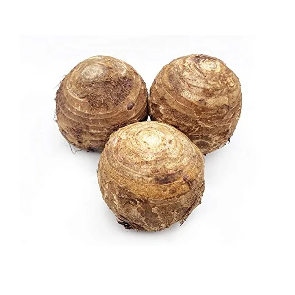 new crop fresh taro with cheap price for sale