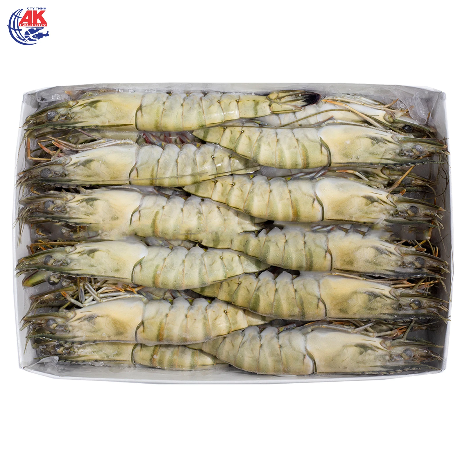 Best Price Seafood Supplier BT/HOSO Fresh Black Tiger Shrimp Head On Shell On With Custom Weight Order Origin From Vietnam