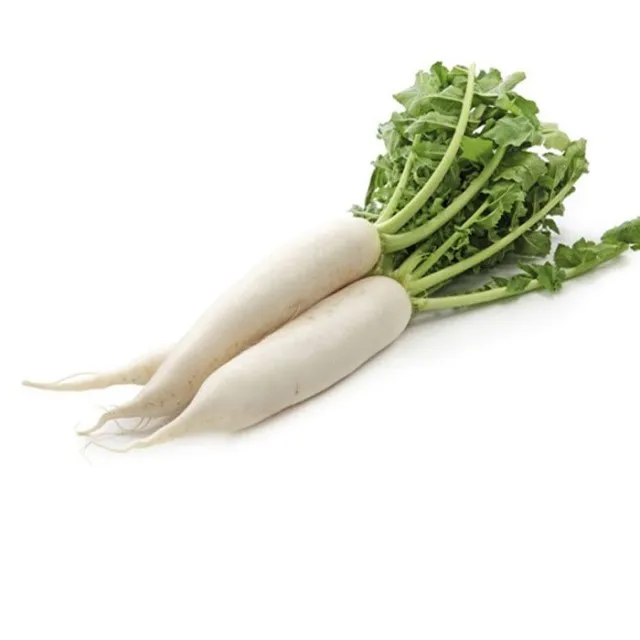 Best Seller Of Fresh White Radish At Low Prices