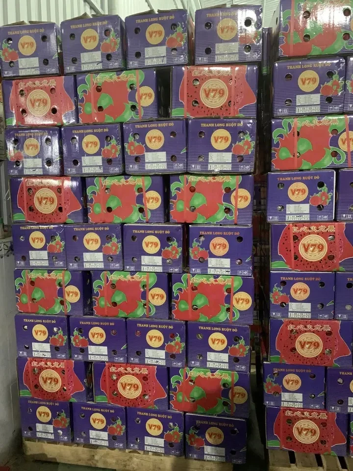 Vietnam 350g Dragon Fruit - Common Quality, Naturally Sweet, 100% Fresh, 6-Month Shelf Life